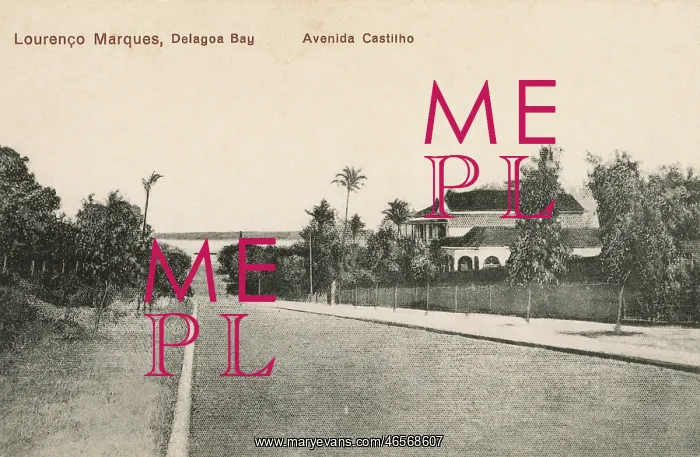 : Mozambique - Maputo - Avenida Castilho : Mozambique - Maputo - Avenida Castilho