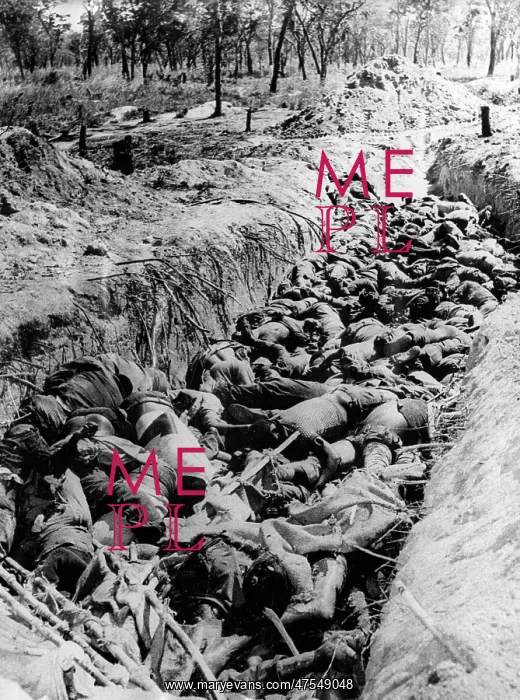 : Mozambique massacre mass grave : Mozambique massacre mass grave