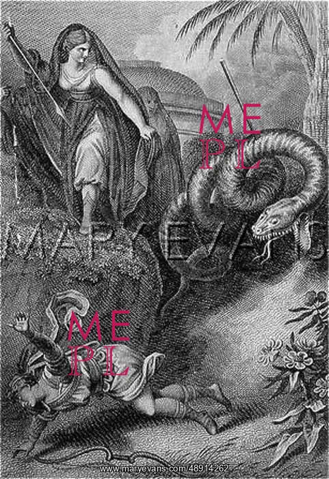 : MOZART / FLUTE / SERPENT : MOZART / FLUTE / SERPENT
