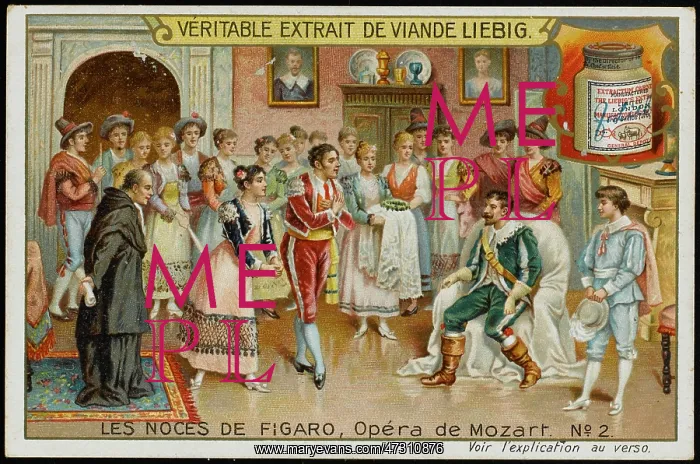 : Mozart - Nozze - Liebig 2 : Mozart - Nozze - Liebig 2