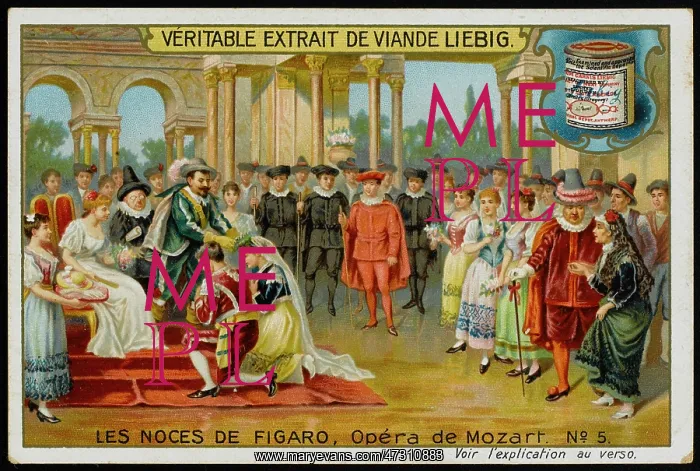 : Mozart - Nozze - Liebig 5 : Mozart - Nozze - Liebig 5