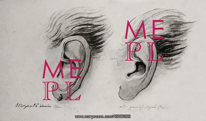 : Mozart?s ear : Mozart?s ear
