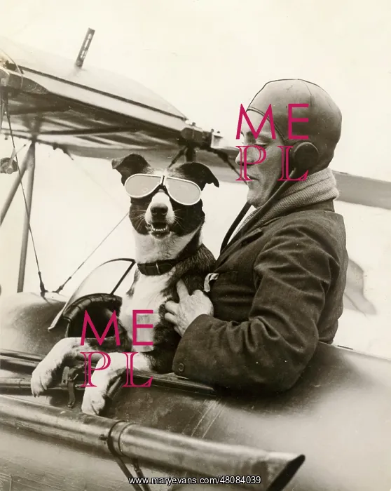: Mr Barnard and his dog Dan, who sometimes flew with him : Mr Barnard and his dog Dan, who sometimes flew with him