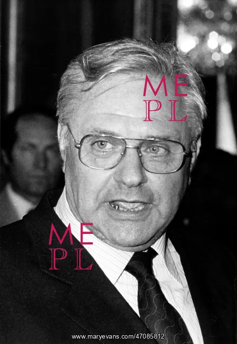 : Mr. Battini : Mr. Battini