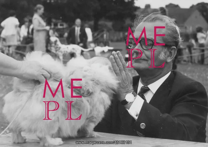 : Mr Curnow judging at the Dog Centre Birthday Show : Mr Curnow judging at the Dog Centre Birthday Show