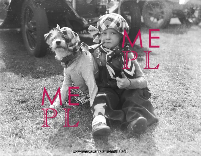 : MR. EVERYMAN & HIS DOG : MR. EVERYMAN & HIS DOG