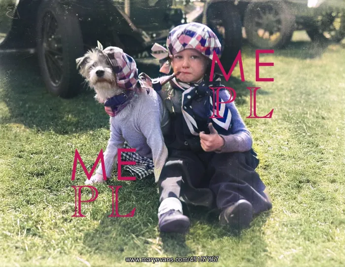 : MR. EVERYMAN & HIS DOG : MR. EVERYMAN & HIS DOG