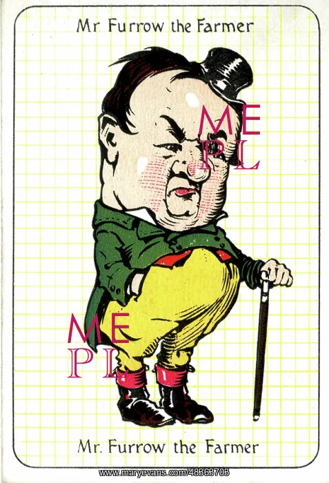  : Mr Furrow the Farmer