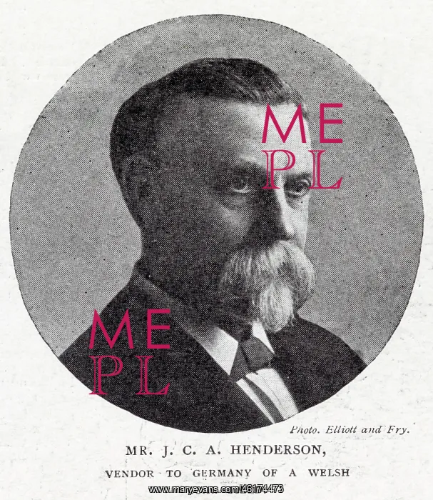 : Mr John Crosbie Aitken Henderson : Mr John Crosbie Aitken Henderson