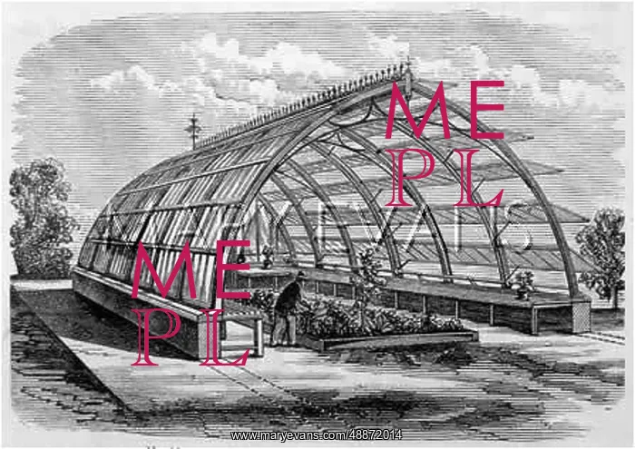 : Mr Messenger's conservatory : Mr Messenger's conservatory