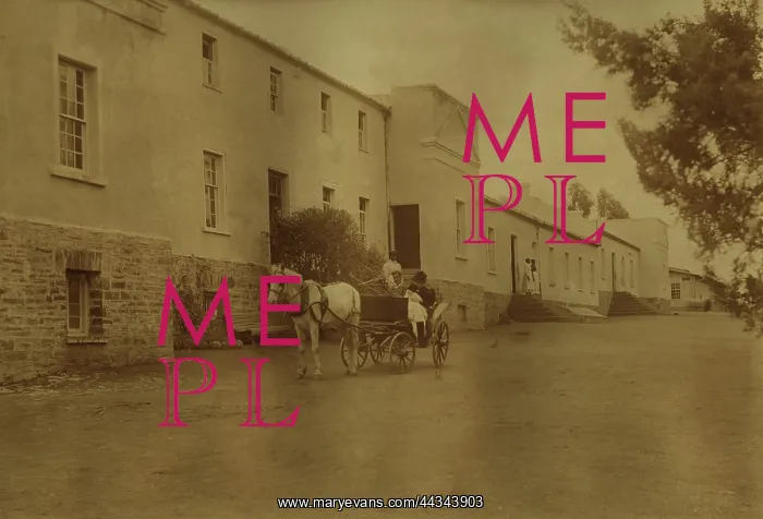 : Mr Moir's Phaeton : Mr Moir's Phaeton