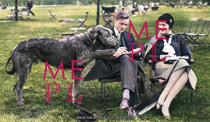 : Mr and Mrs Bryan Guinness with their Irish Wolfhound : Mr and Mrs Bryan Guinness with their Irish Wolfhound