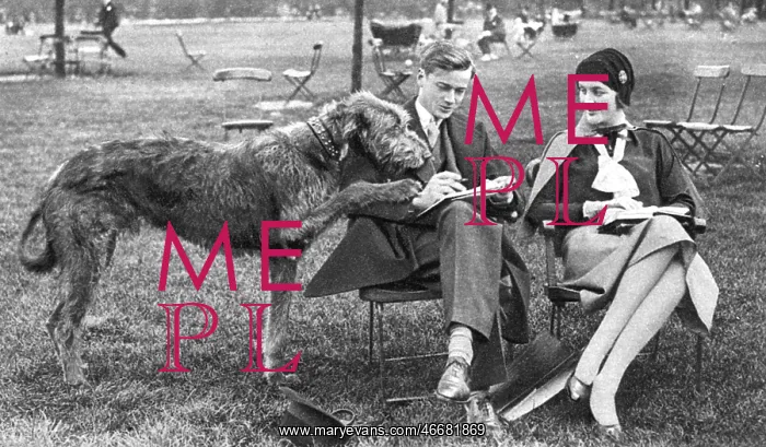 : Mr and Mrs Bryan Guinness with their Irish Wolfhound : Mr and Mrs Bryan Guinness with their Irish Wolfhound