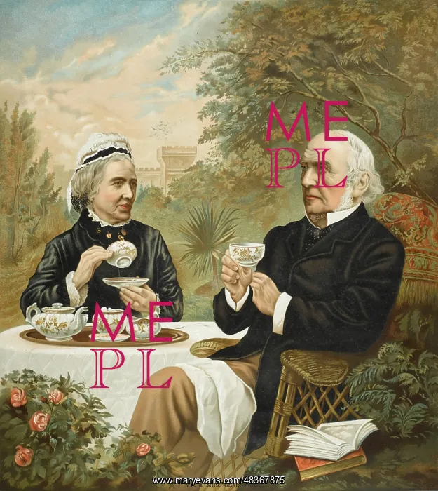 : Mr and Mrs W. E. Gladstone : Mr and Mrs W. E. Gladstone