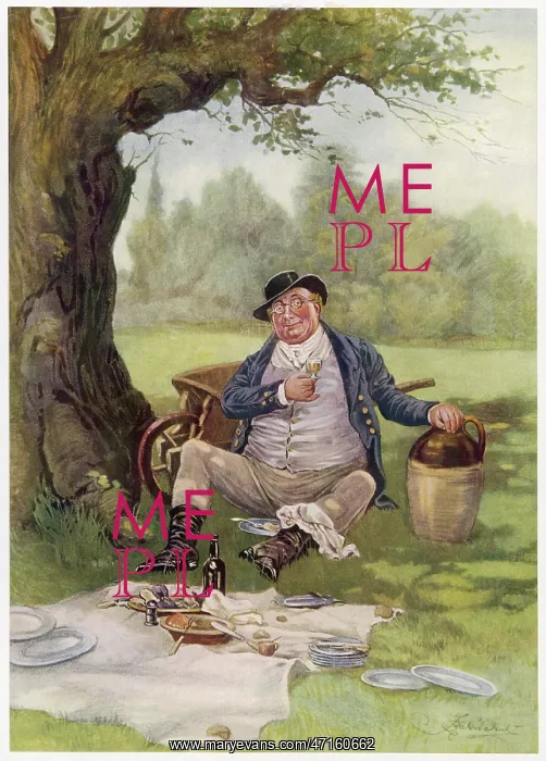 : Mr Pickwick Picnics : Mr Pickwick Picnics