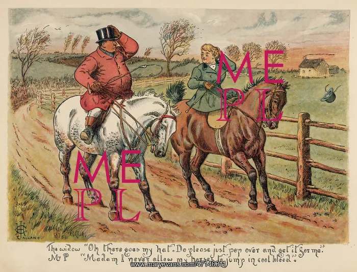 : Mr Popple and the widow : Mr Popple and the widow