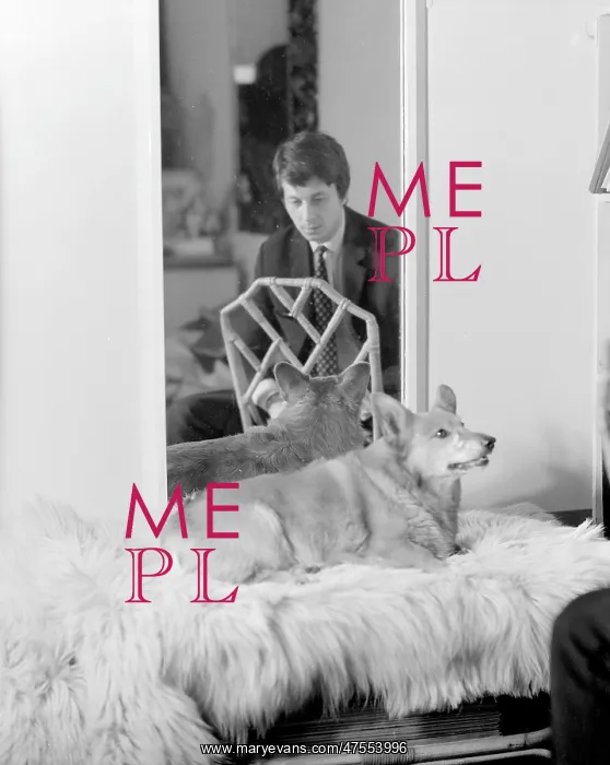  : Mr Rees Williams & pet dog Lanto