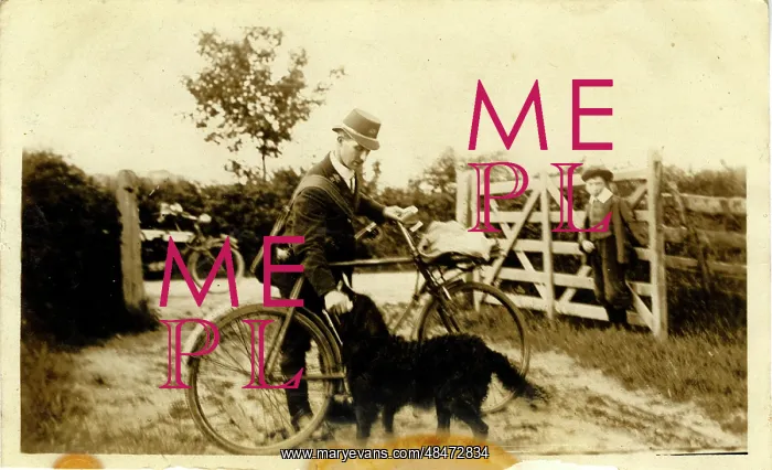 : Mr Wass's Dog Fetching the Letters, Norton Disney, Lincoln : Mr Wass's Dog Fetching the Letters, Norton Disney, Lincoln
