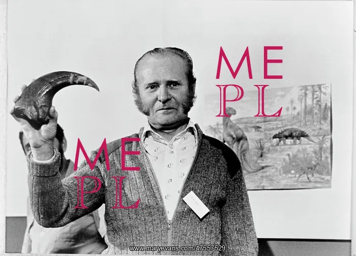 : Mr William Walker : Mr William Walker