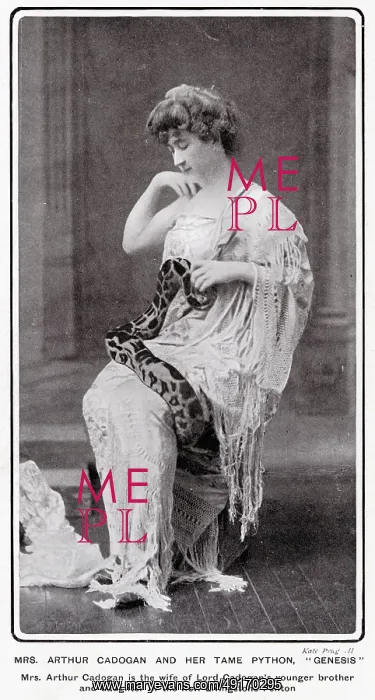 : Mrs Arthur Cadogan with her pet python : Mrs Arthur Cadogan with her pet python