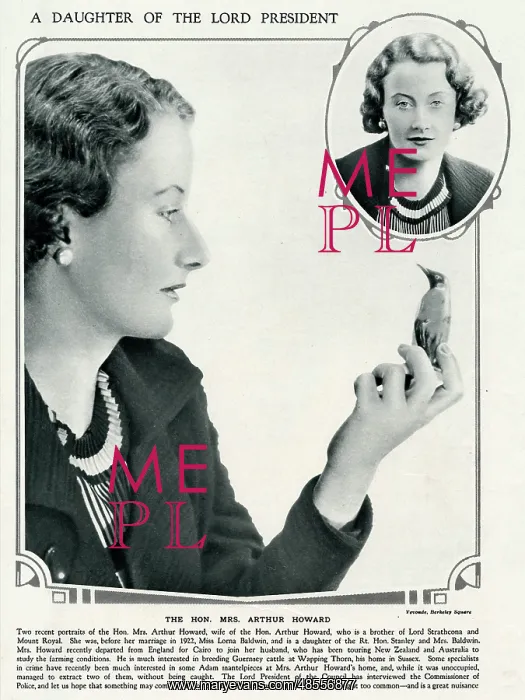 : Mrs Arthur Howard by Madame Yevonde : Mrs Arthur Howard by Madame Yevonde