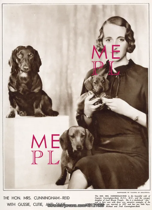: Mrs Cunningham Reid with her dachshunds : Mrs Cunningham Reid with her dachshunds