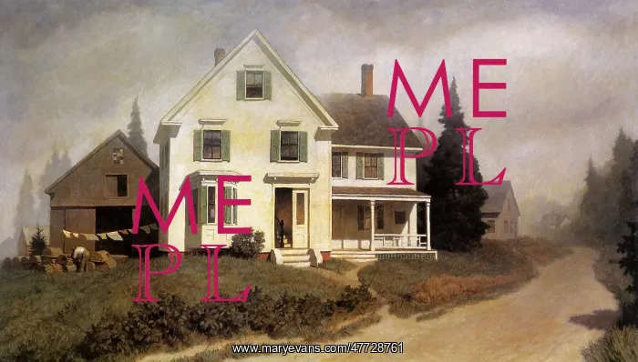 : Mrs Cushman's House : Mrs Cushman's House
