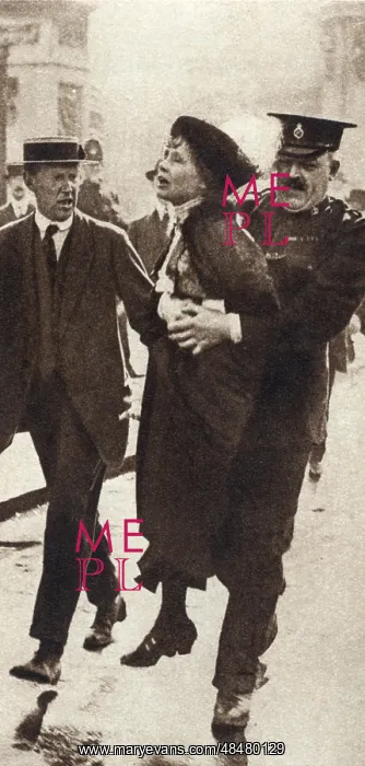 : Mrs Emmeline Pankhurst (1857-1928), English suffragette : Mrs Emmeline Pankhurst (1857-1928), English suffragette