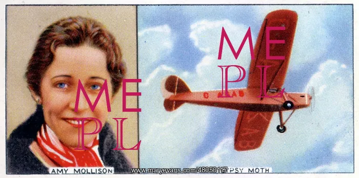 : Mrs J A Mollison : Mrs J A Mollison