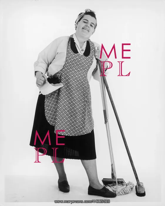 : MRS MOP THE CLEANER : MRS MOP THE CLEANER