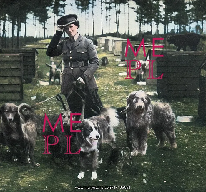 : Mrs Richardson and her dog pupils, WW1 : Mrs Richardson and her dog pupils, WW1