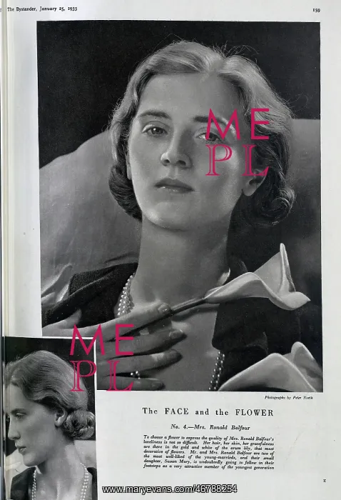 : Mrs Ronald Balfour, studio portraits : Mrs Ronald Balfour, studio portraits