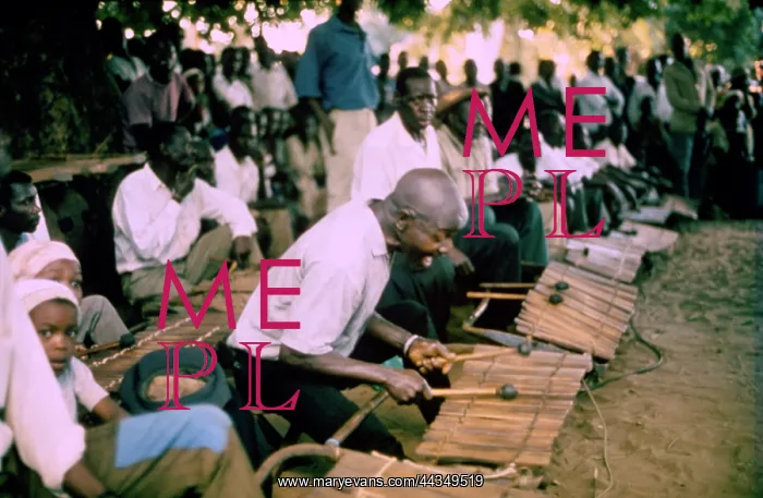 : Mshini leading-in his timbila orchestra in the playing : Mshini leading-in his timbila orchestra in the playing