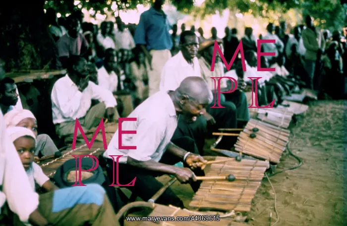 : Mshini leading-in his timbila orchestra in the playing : Mshini leading-in his timbila orchestra in the playing