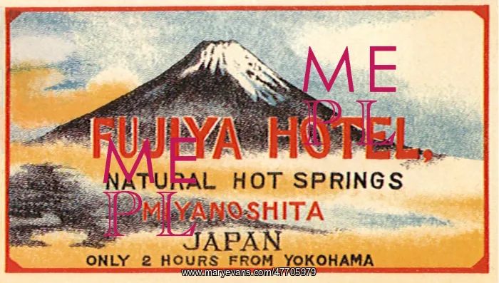  : Mt. Fuji