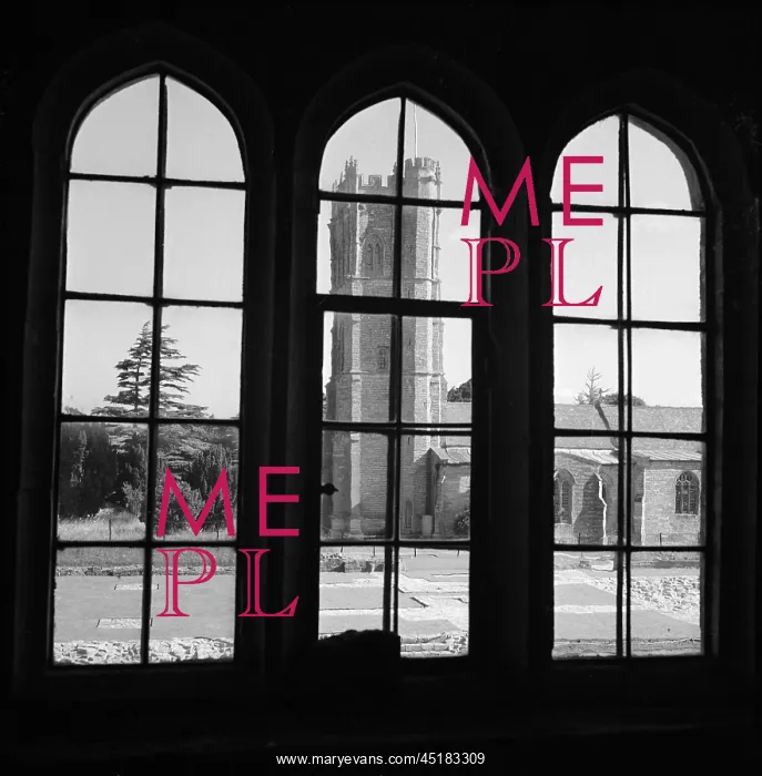 : Muchelney Abbey : Muchelney Abbey