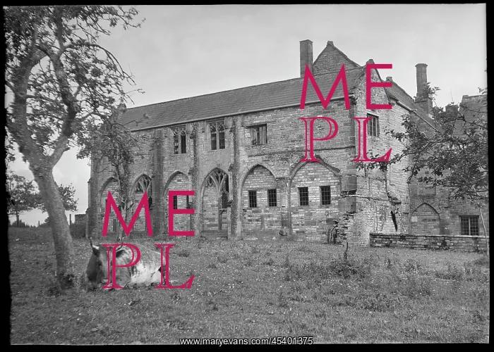 : Muchelney Abbey, Abbot's House, Muchelney, Somerset : Muchelney Abbey, Abbot's House, Muchelney, Somerset