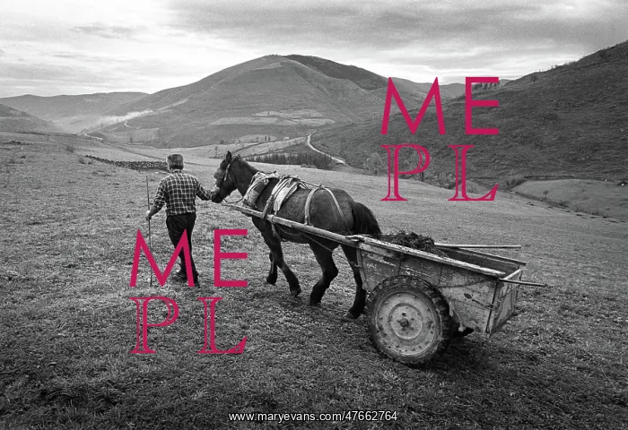: Muck cart, Cantabria, Spain - 1 : Muck cart, Cantabria, Spain - 1