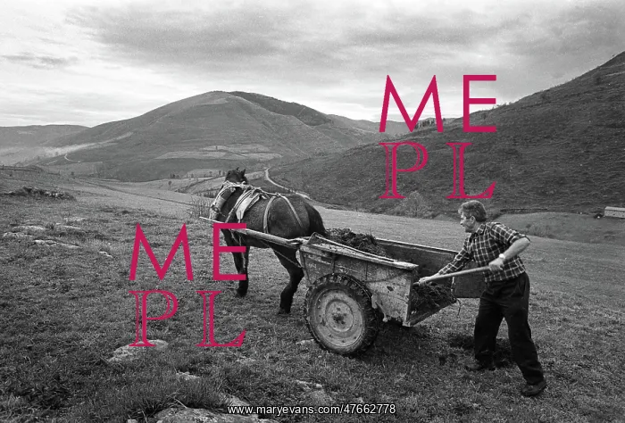 : Muck cart, Cantabria, Spain - 2 : Muck cart, Cantabria, Spain - 2