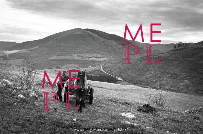 : Muck cart, Cantabria, Spain - 3 : Muck cart, Cantabria, Spain - 3