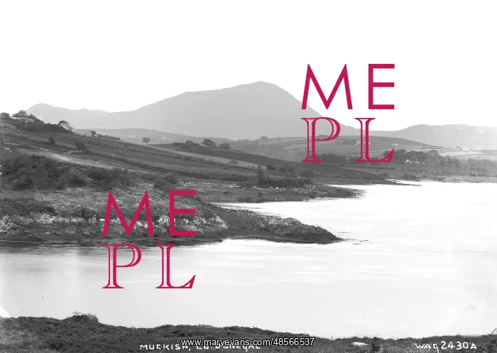  : Muckish, Co. Donegal