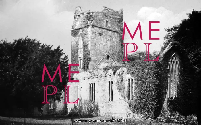 : Muckross Abbey, Killarney, Ireland : Muckross Abbey, Killarney, Ireland
