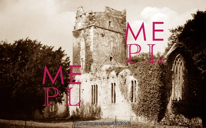  : Muckross Abbey, Killarney, Ireland