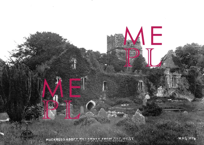 : Muckross Abbey, Killarney, from the West : Muckross Abbey, Killarney, from the West