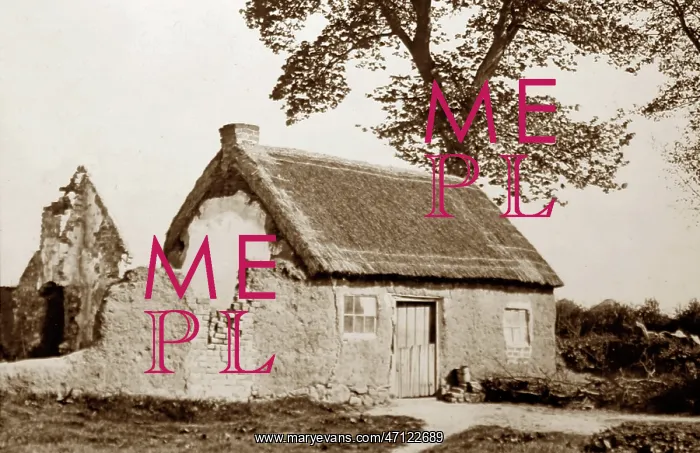 : The Mud Cabin, Bladon Park, Belfast : The Mud Cabin, Bladon Park, Belfast