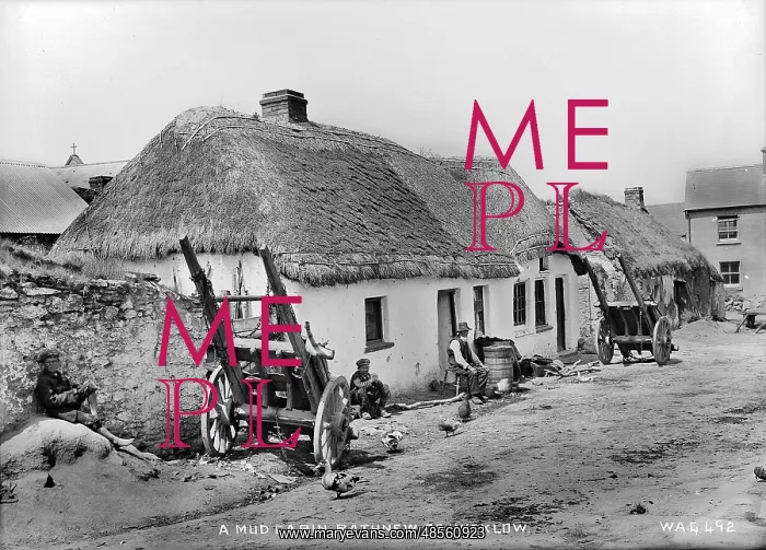 : A Mud Cabin, Rathnew, Co Wicklow : A Mud Cabin, Rathnew, Co Wicklow