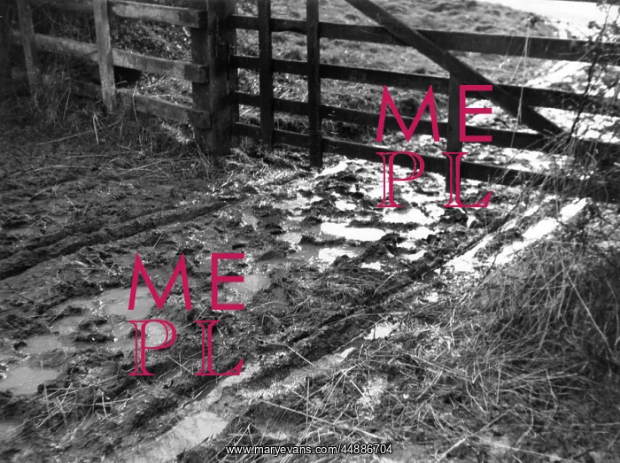  : MUD AT THE GATE