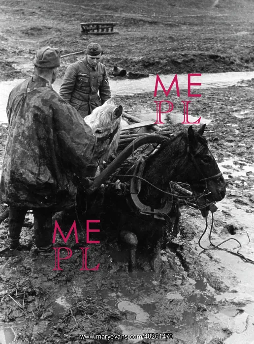 : Mud period in the Ukraine, 1941 : Mud period in the Ukraine, 1941