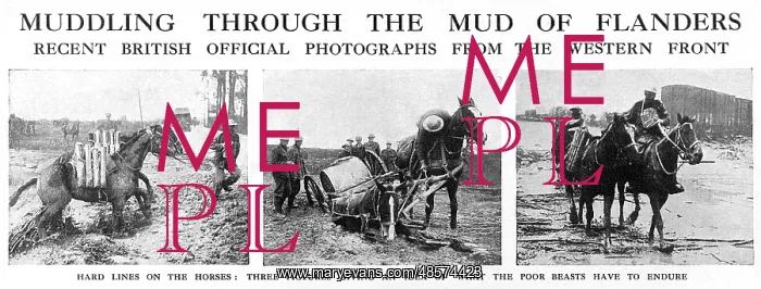 : Muddling through the mud of Flanders, 1917 : Muddling through the mud of Flanders, 1917