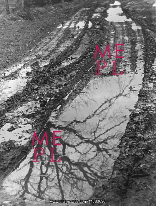 : MUDDY COUNTRY LANE : MUDDY COUNTRY LANE